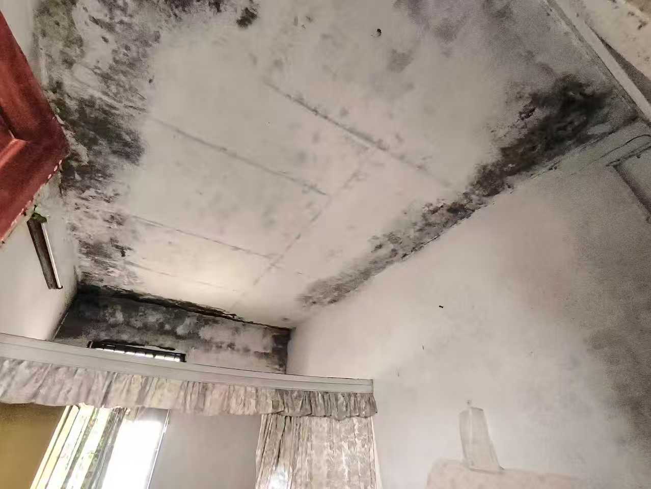 如何找靠谱的房屋安全鉴定机构？记住这4个点不踩坑