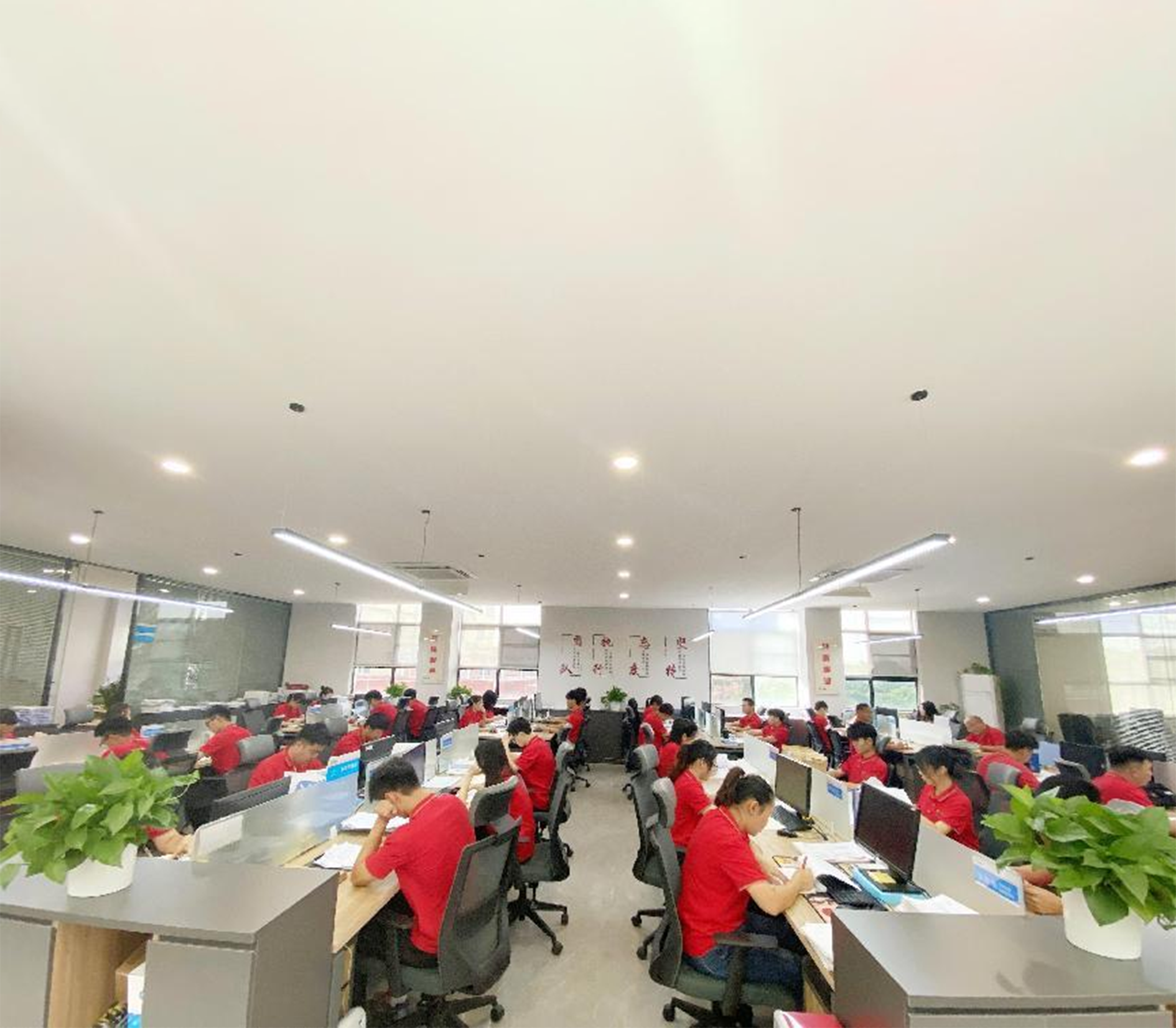 专业的技术服务团队